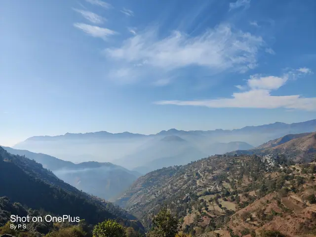 मशरूम उत्पादन एवं व्यवसाय विकास प्रशिक्षण