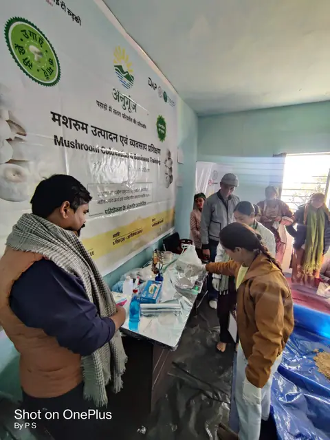 मशरूम उत्पादन एवं व्यवसाय विकास प्रशिक्षण