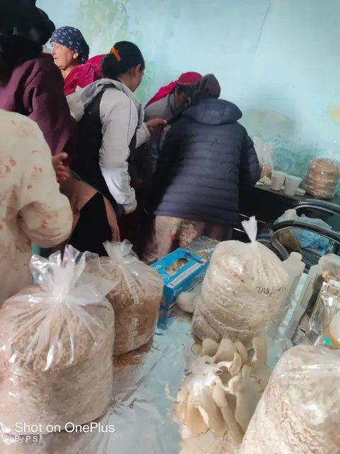 मशरूम उत्पादन एवं व्यवसाय विकास प्रशिक्षण